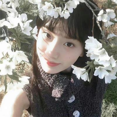 与鲨共游